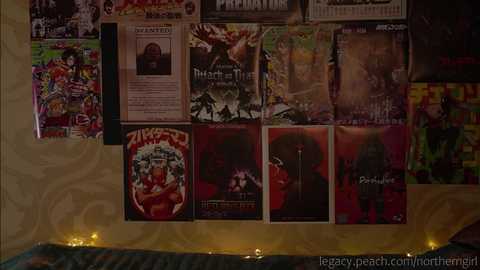 _northern_girl_ @ chaturbate on 20231222