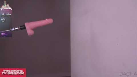 islandladies @ chaturbate on 20231222