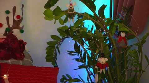 sweety_rinushka_ @ chaturbate on 20231222