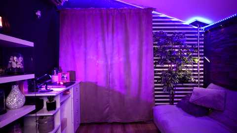 fantasystudiox @ chaturbate on 20231223