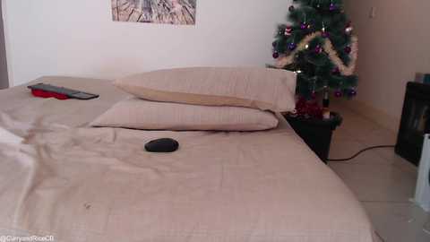 curryandrice420 @ chaturbate on 20231224