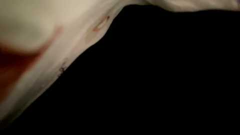 emersoncane @ chaturbate on 20231227