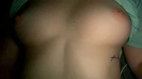 emersoncane @ chaturbate on 20231227