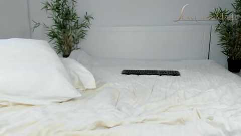 sexycreolyta4u @ chaturbate on 20231227