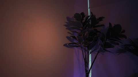 letiziafulkers1 @ chaturbate on 20231228