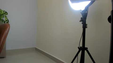 joss_caprice @ chaturbate on 20231230