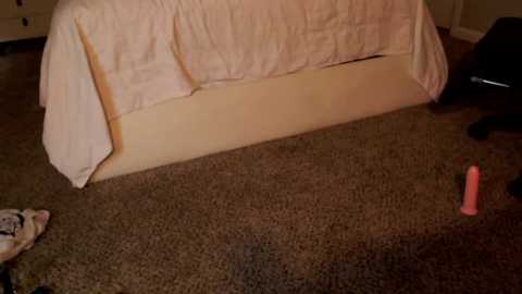 thebrentsavage @ chaturbate on 20231230