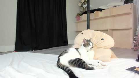 fit_american_girl @ chaturbate on 20231231