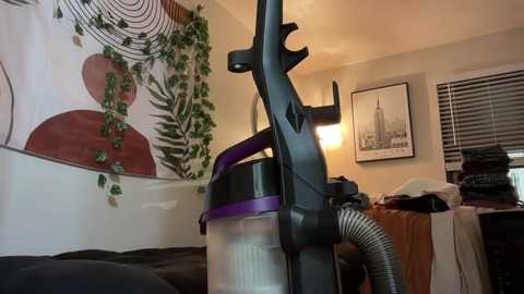 cxbraj @ chaturbate on 20240101