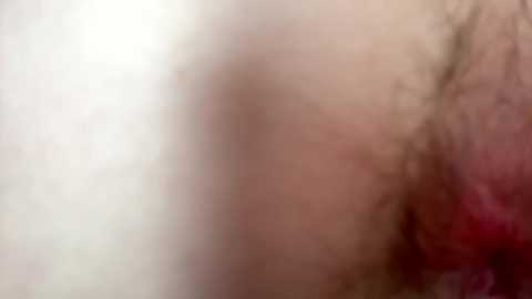 guynxtdoor02 @ chaturbate on 20240101