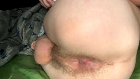guynxtdoor02 @ chaturbate on 20240101
