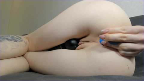 lizynoir