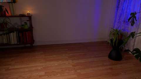 alisonrouge @ chaturbate on 20240103