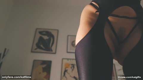 katdreams @ chaturbate on 20240103