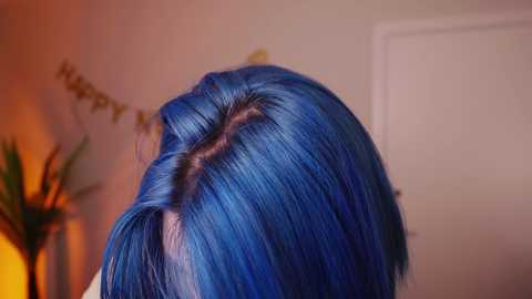vixenp @ chaturbate on 20240103