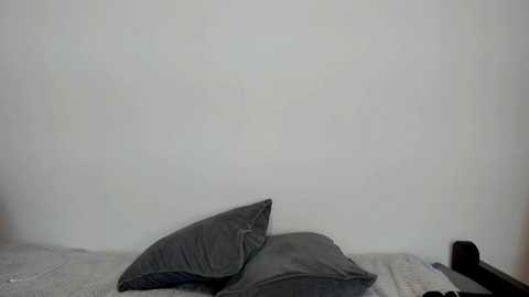 aria_diaz @ chaturbate on 20240104