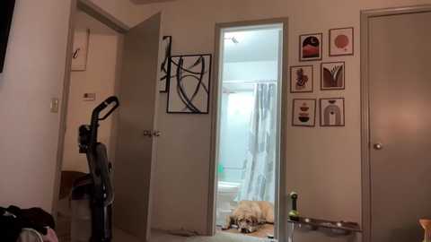 cxbraj @ chaturbate on 20240104