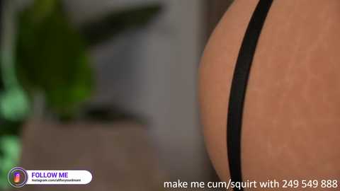 dovia @ chaturbate on 20240104