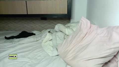 latinella @ chaturbate on 20240104