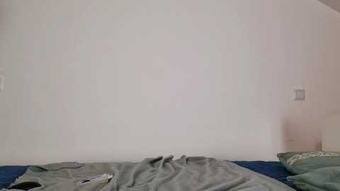 nicky_couple @ chaturbate on 20240104
