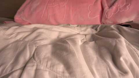 princessasiana @ chaturbate on 20240104