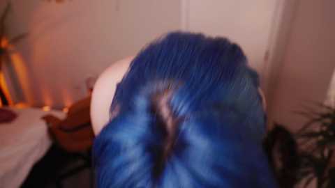 vixenp @ chaturbate on 20240104