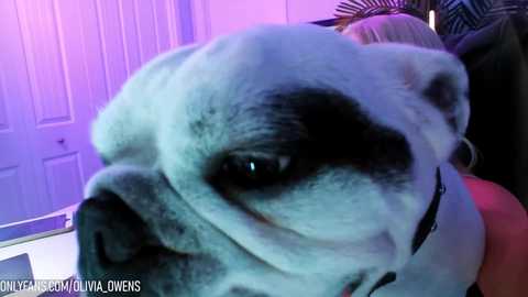 oliviaowens @ chaturbate on 20240105