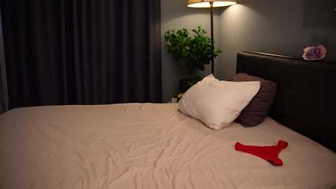 tessarosse_ @ chaturbate on 20240105