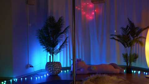 kittycaitlin @ chaturbate on 20240106