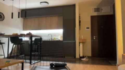 hungry_rabbits1 @ chaturbate on 20240107