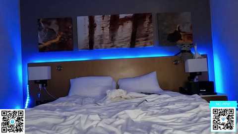 ari_lovexo @ chaturbate on 20240108