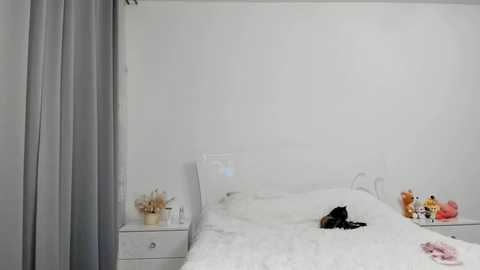 sofia_flowers @ chaturbate on 20240108