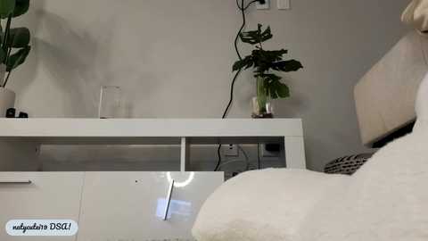 _natycutei19 @ chaturbate on 20240109