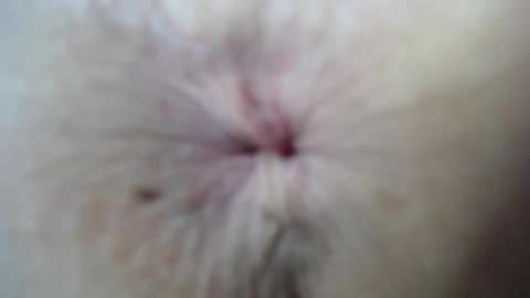 courtney_luv @ chaturbate on 20240110