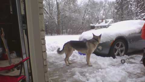 rosegold18 @ chaturbate on 20240111