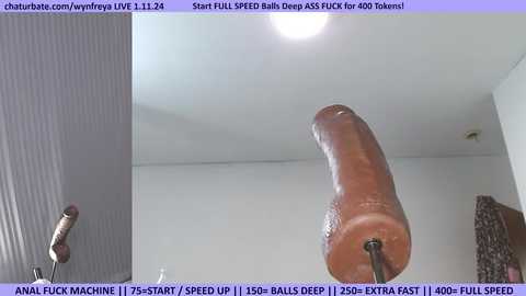 wynfreya @ chaturbate on 20240111