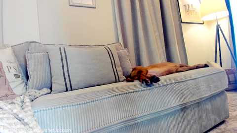 x_lily_x @ chaturbate on 20240111