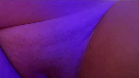 aveksmr @ chaturbate on 20240113