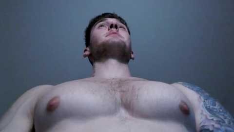 thebrentsavage @ chaturbate on 20240113