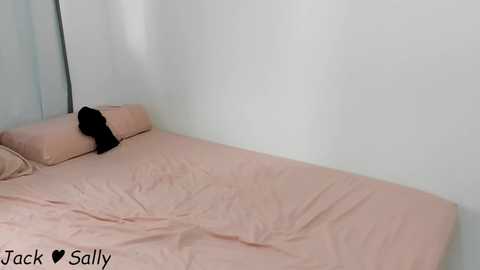 homeofsex_ @ chaturbate on 20240114