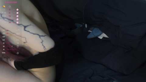 phqqipi @ chaturbate on 20240114