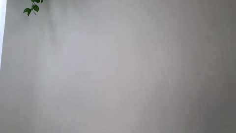 littlegreekflower @ chaturbate on 20240115