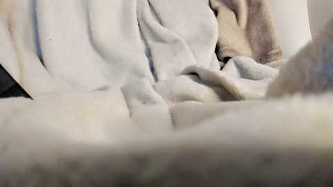 shy_student_alice @ chaturbate on 20240115