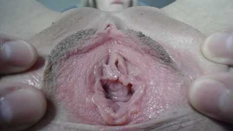 courtney_luv @ chaturbate on 20240116