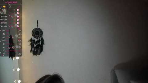 euphoria_life @ chaturbate on 20240116