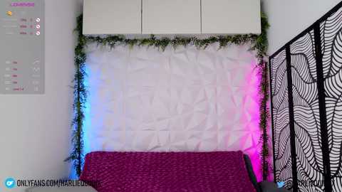 harliequinnx @ chaturbate on 20240116