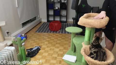 alexa_dream @ chaturbate on 20240117