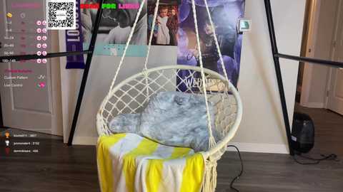 misterblanco @ chaturbate on 20240117