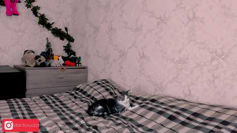 ohvivian @ chaturbate on 20240117