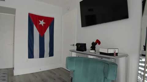 theislandgirl @ chaturbate on 20240117